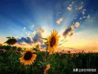徐州同得工程机械租赁有限公司