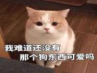 徐州同得工程机械租赁有限公司