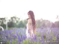 徐州同得工程机械租赁有限公司