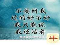 徐州同得工程机械租赁有限公司