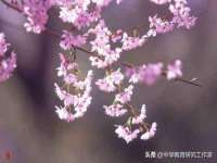 徐州同得工程机械租赁有限公司