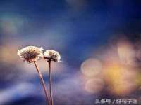 徐州同得工程机械租赁有限公司