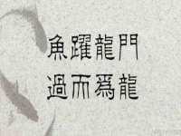 徐州同得工程机械租赁有限公司