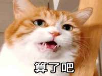 徐州同得工程机械租赁有限公司