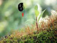 徐州同得工程机械租赁有限公司