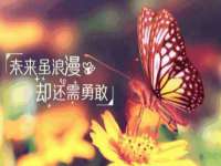 徐州同得工程机械租赁有限公司