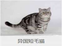 徐州同得工程机械租赁有限公司