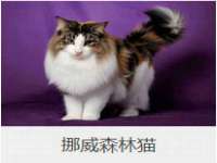 徐州同得工程机械租赁有限公司