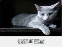 徐州同得工程机械租赁有限公司