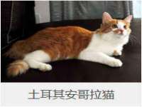徐州同得工程机械租赁有限公司