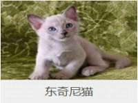 徐州同得工程机械租赁有限公司
