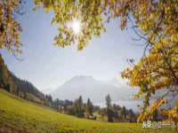 徐州同得工程机械租赁有限公司