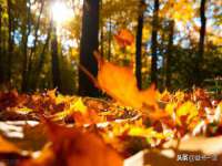 徐州同得工程机械租赁有限公司