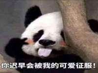 徐州同得工程机械租赁有限公司