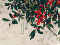 徐州同得工程机械租赁有限公司