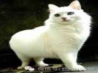 徐州同得工程机械租赁有限公司