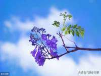 徐州同得工程机械租赁有限公司