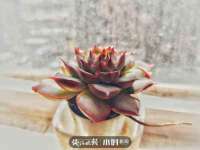 徐州同得工程机械租赁有限公司