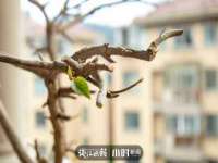 徐州同得工程机械租赁有限公司