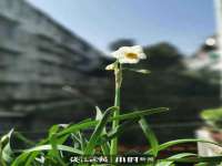 徐州同得工程机械租赁有限公司