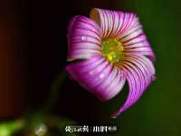 徐州同得工程机械租赁有限公司
