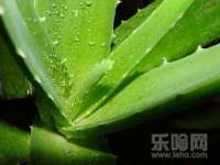 徐州同得工程机械租赁有限公司