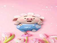 徐州同得工程机械租赁有限公司