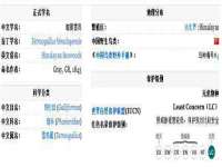徐州同得工程机械租赁有限公司