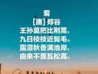 徐州同得工程机械租赁有限公司