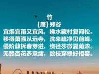 徐州同得工程机械租赁有限公司