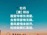 徐州同得工程机械租赁有限公司