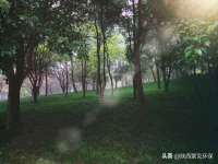 徐州同得工程机械租赁有限公司