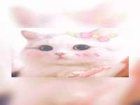 徐州同得工程机械租赁有限公司