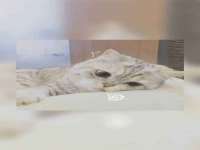 徐州同得工程机械租赁有限公司