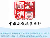 徐州同得工程机械租赁有限公司