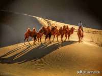 徐州同得工程机械租赁有限公司