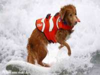 徐州同得工程机械租赁有限公司