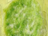 徐州同得工程机械租赁有限公司