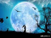 徐州同得工程机械租赁有限公司